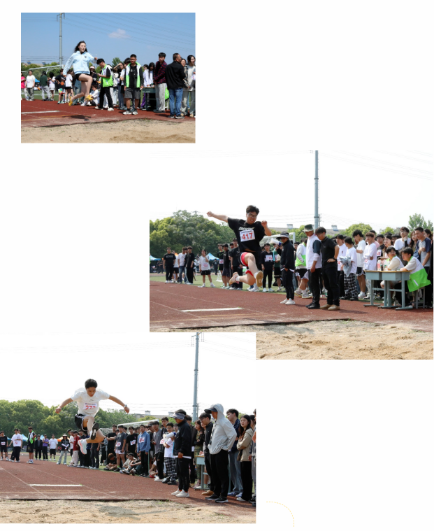 6645c2d64fe87.png 6645c2d64fe87.png