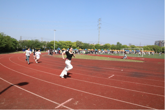 6645c3027db26.png