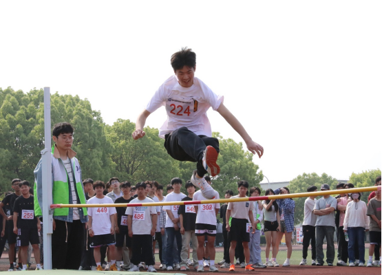 6645c341b4c53.png