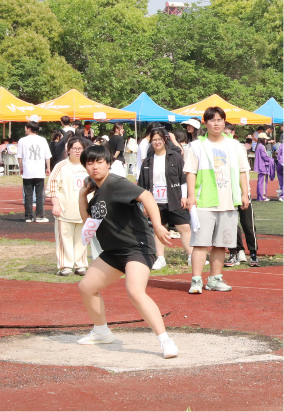 6645c384e22b9.png